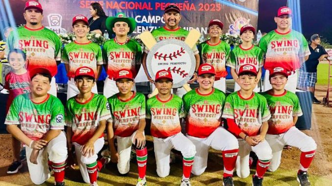 PEQUEÑAS chihuahua campeón..